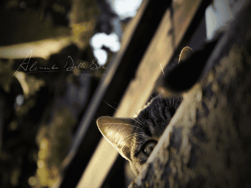 台湾试管PGC检测，聊城试管私立医院